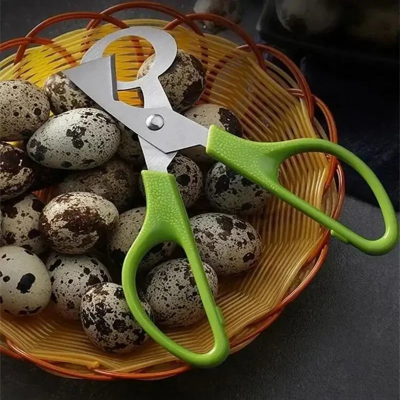 Coupe Oeuf de Caille