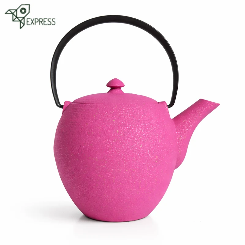 Théière Japonaise en Fonte 550ml : Esprit Kyusu