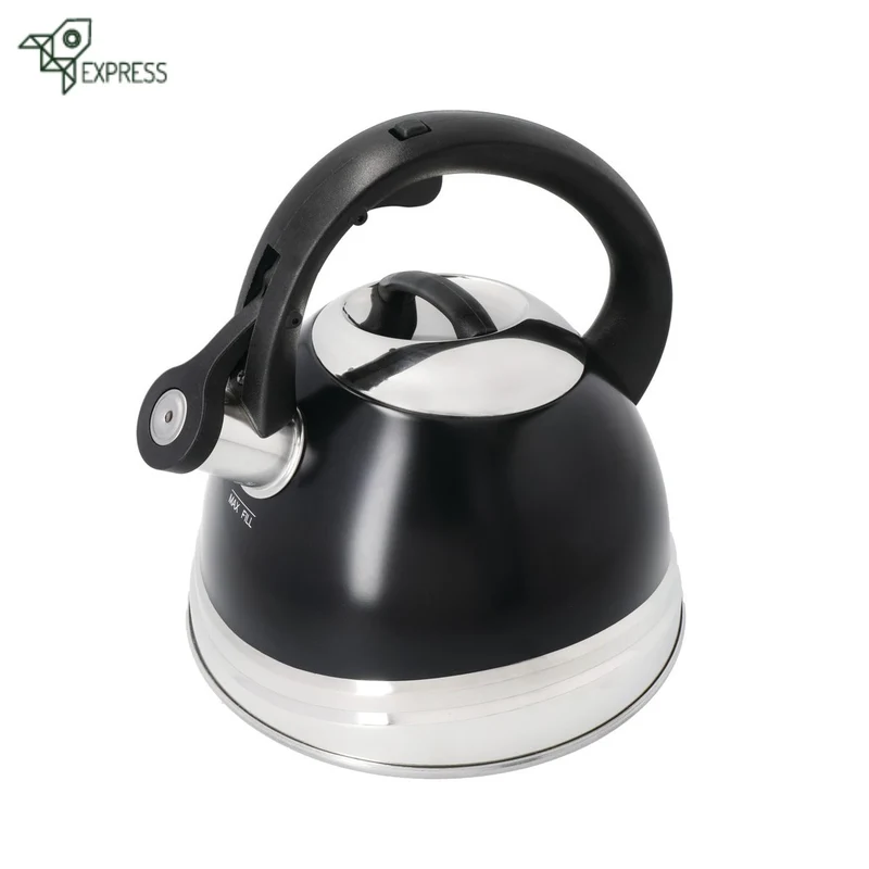 Bouilloire Sifflante Pour Induction 2,4L
