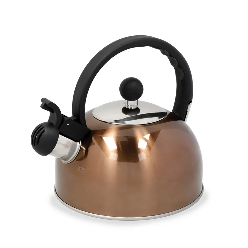 Bouilloire Inox Induction Sifflante 1.3L
