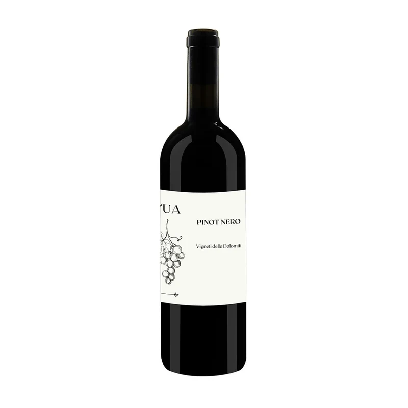 Pinot Noir Vigneti Delle Dolomiti IGT 2024 - L'Ua