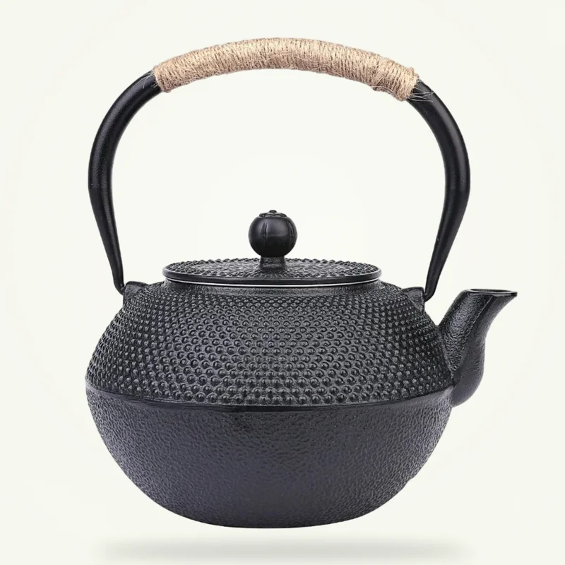 Théière Japonaise en Fonte émaillée