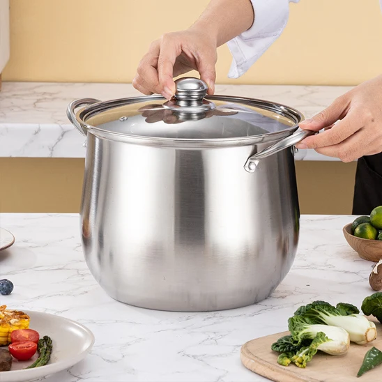 Marmite Inox - AltiCook 22 cm