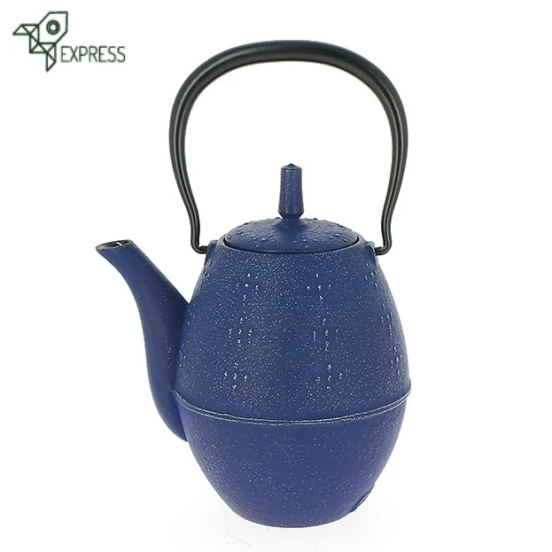 Théière en Fonte Bleue Iwachu Raisu 600ml