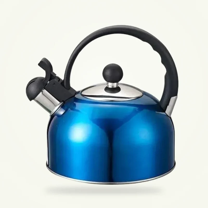 Ancienne Bouilloire Vintage Bleu