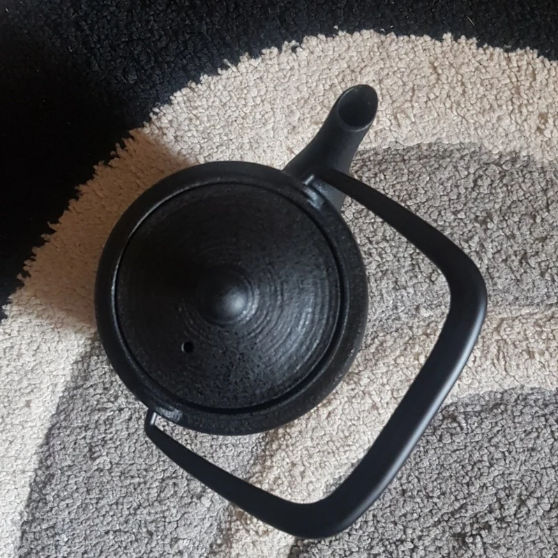 Théière en Fonte Design Scandinave Wazuqu Wabi 600ml