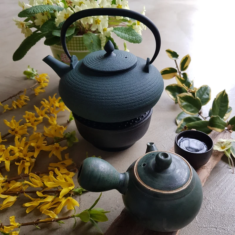 Théière en Fonte Plate Verte Wazuqu Itome 1L
