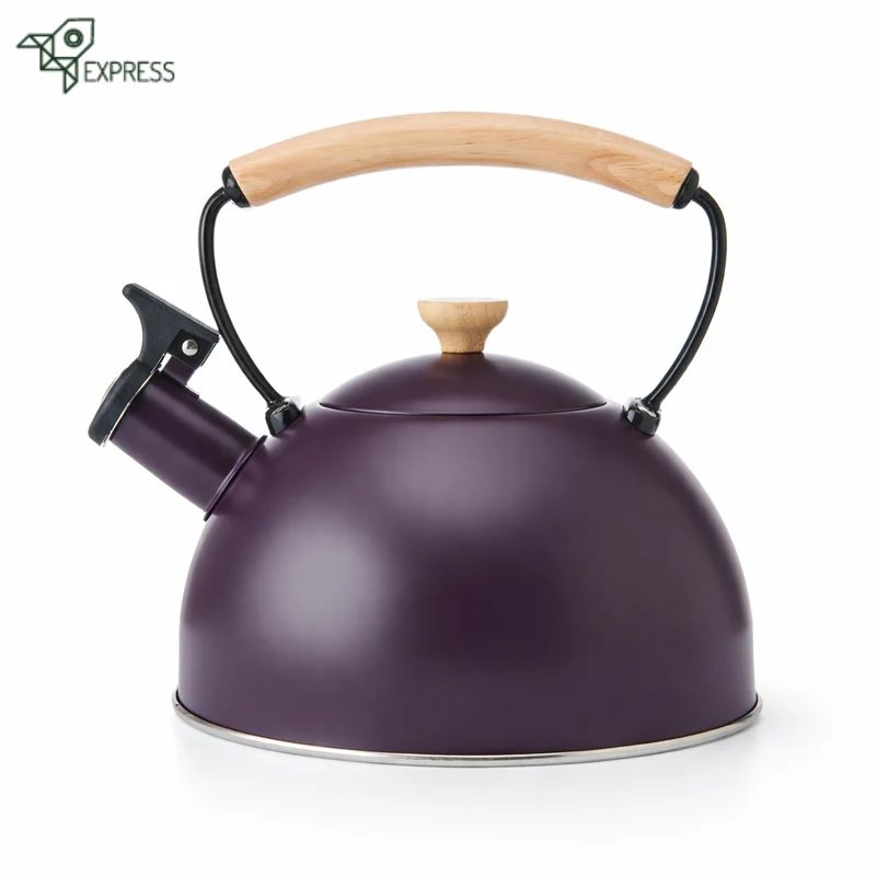 Bouilloire à Sifflet Induction 1.6L