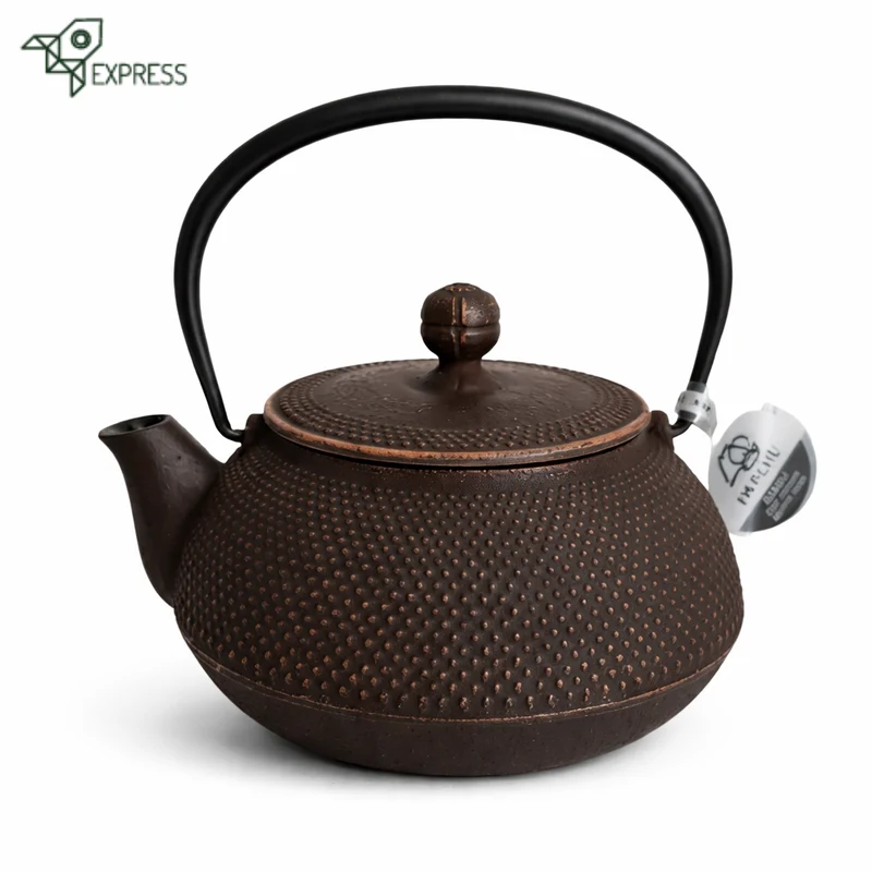 Théière en Fonte Iwachu Arare 600ml