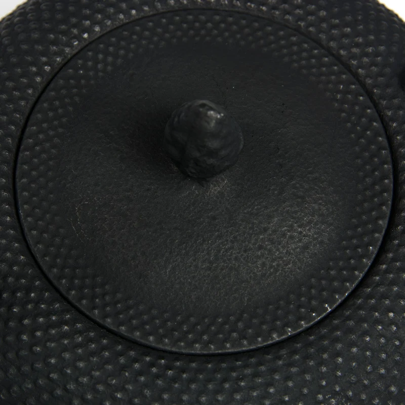 Théière en Fonte Noire Iwachu Nanbu Arare 1L