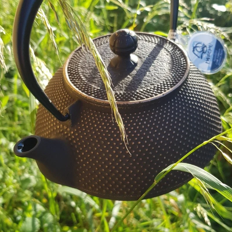 Théière en Fonte Japonaise Ancienne Iwachu Arare 1.2L