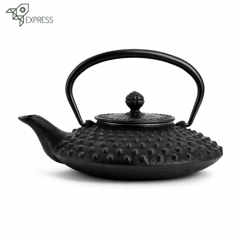 Théière Plate en Fonte Japonaise Iwachu Kanbin 500ml