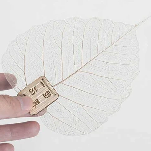 Filtre à Thé Feuille de Bodhi