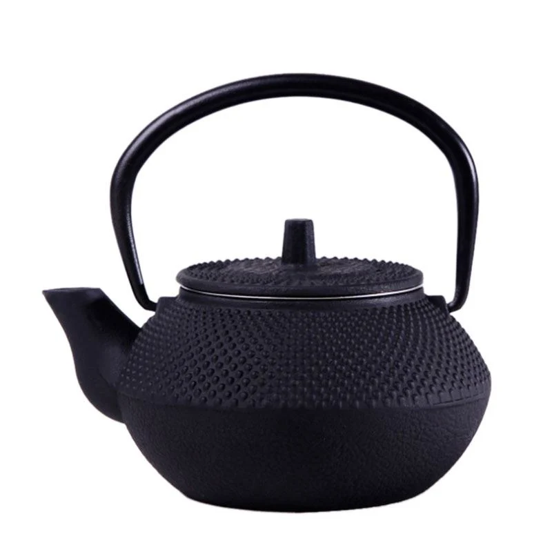 Théière en Fonte Petite Bouilloire 300ml
